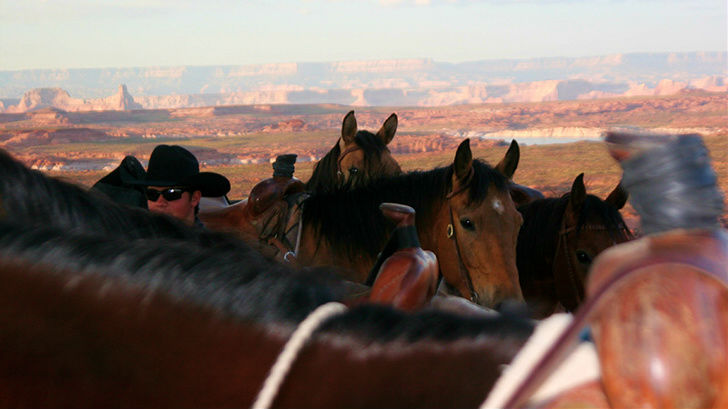 Pferde und zusätzliche Helfer bei einer Wild West Wedding